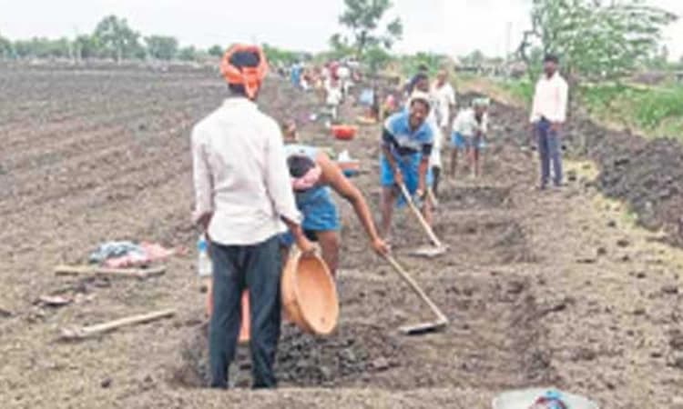 ಗದಗ: ನರೇಗಾದಡಿ ಸದ್ದು ಮಾಡಿದ ರೋಣ ತಾಲೂಕು ಪಂಚಾಯ್ತಿ
