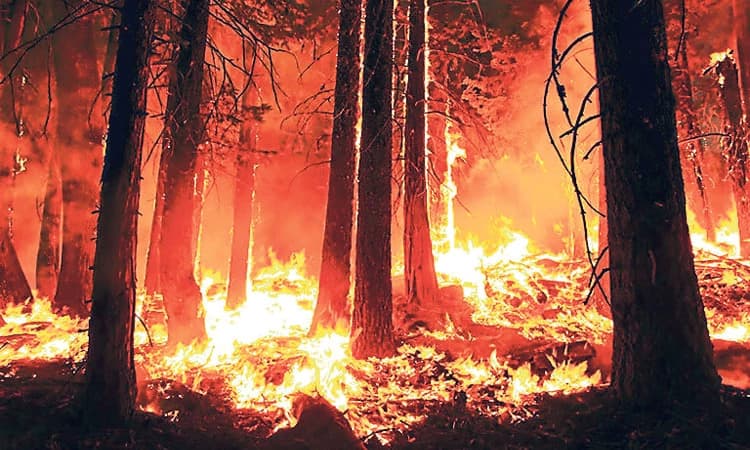 Udupi District: ಐದೇ ತಿಂಗಳಲ್ಲಿ 769 ಅಗ್ನಿ ಅವಘಡ