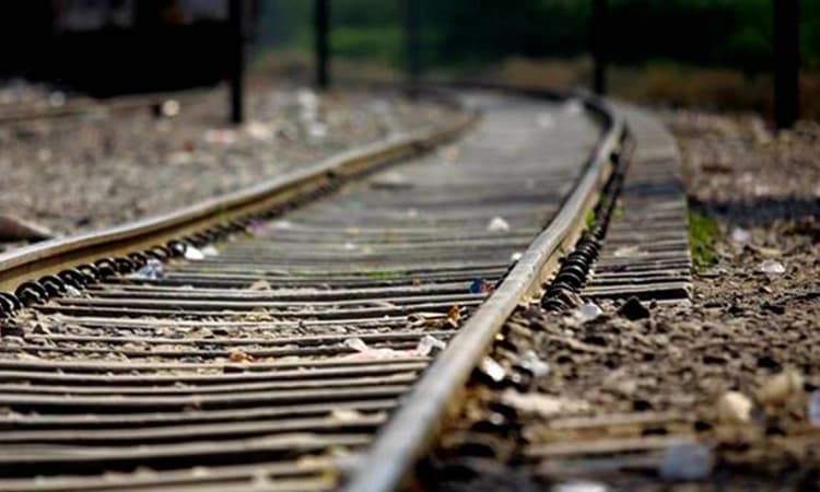 ಹರಪನಹಳ್ಳಿ: ರೈಲು ಡಿಕ್ಕಿ ಹೊಡೆದು ನಾಲ್ಕು ಕುರಿಗಳು ಸಾವು