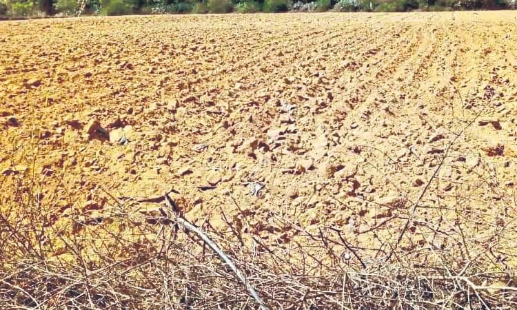 ಅನುಷ್ಠಾನವಾಗಲಿಲ್ಲ ಮಂಜೂರಾಗಿದ್ದ ಯೋಜನೆ