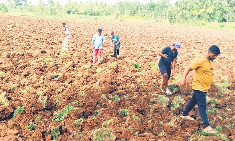 ರಾತ್ರೋರಾತ್ರಿ ಜಮೀನಾದ ರಾಜವಂಶಸ್ಥರ ಕಾಲದ ಕೆರೆ
