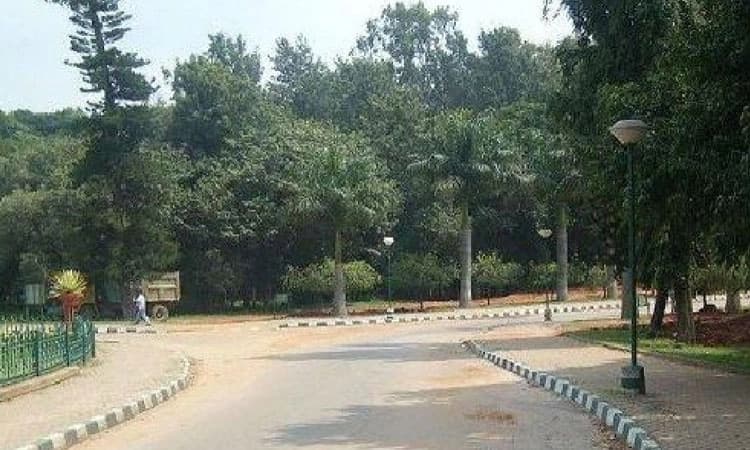 ಕಬ್ಬನ್‌ಪಾರ್ಕ್‌ನಲ್ಲಿ ಹೆಚ್ಚಿದ ಭಿಕ್ಷುಕರ ಕಾಟ