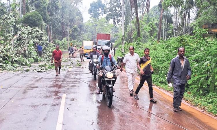 ಗಾಳಿ-ಮಳೆ: ಕುಂಬ್ರದಲ್ಲಿ ರಾಷ್ಟ್ರೀಯ ಹೆದ್ದಾರಿ ಸಂಚಾರ ಸ್ಥಗಿತ