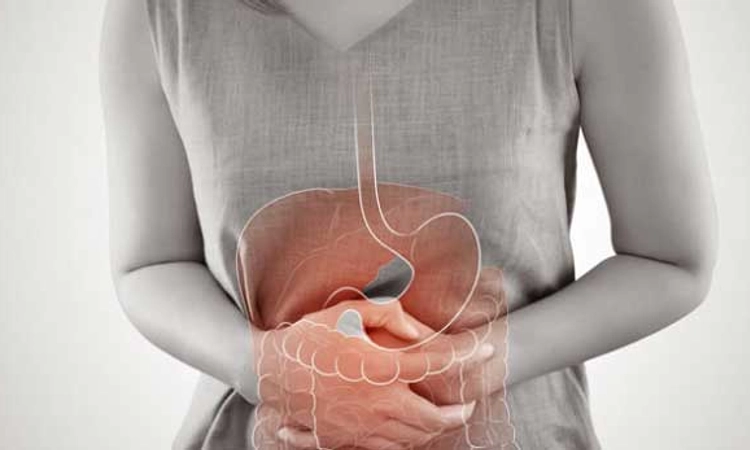 Health: ಆರೋಗ್ಯಯುತ ಪಿತ್ತಕೋಶಕ್ಕೆ ಆರೋಗ್ಯಕರ ಜೀವನ ಶೈಲಿ..ಪಿತ್ತಕೋಶದ ಸಾಮಾನ್ಯ ಕಾಯಿಲೆ