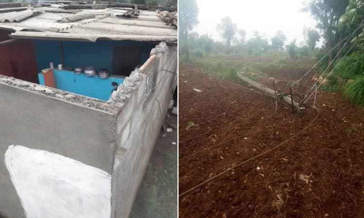 ಹುಣಸೂರು: ಬಿರುಗಾಳಿಗೆ ಧರೆಗುರುಳಿದ ವಿದ್ಯುತ್ ಕಂಬಗಳು… ಸಿಡಿಲಿಗೆ 3 ಜಾನುವಾರು ಬಲಿ