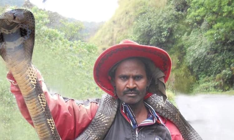 ಚಿಕ್ಕಮಗಳೂರು: ನಾಗರಹಾವು ಕಚ್ಚಿ ಉರಗತಜ್ಞ ಸ್ನೇಕ್ ನರೇಶ್ ಸಾವು!