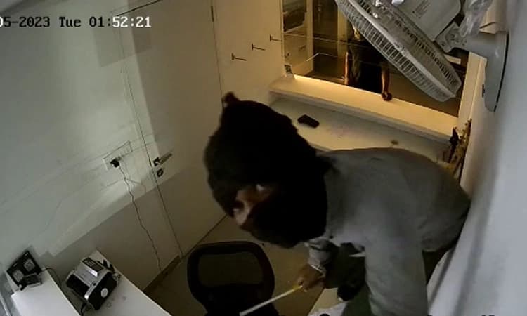 ವಿಜಯಪುರ: ವಾಹನ ಶೋರೂಂಗಳಲ್ಲಿ ಸರಣಿ ಕಳ್ಳತನ