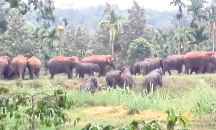 ಶಾಸಕರ ಎದುರಿಗಿದೆ ಸಮಸ್ಯೆಗಳ ಸರಮಾಲೆ!