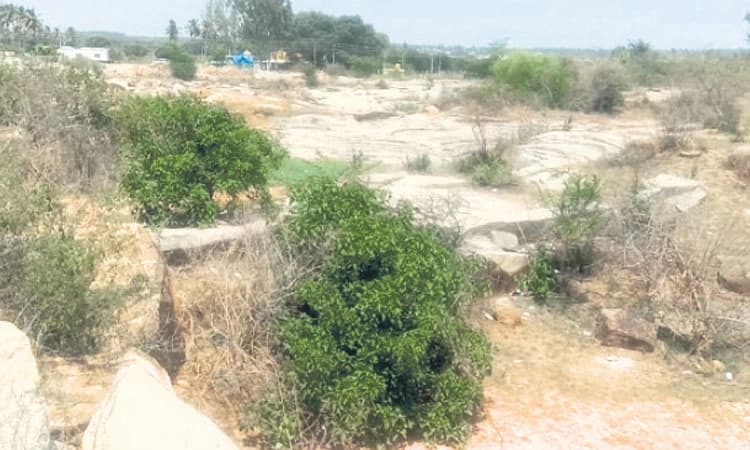 ಅತ್ತಿಬೆಲೆಯಲ್ಲಿ ನಿವೇಶನ ಕಲ್ಪಿಸಲು ಅನುದಾನದ ಕೊರತೆ