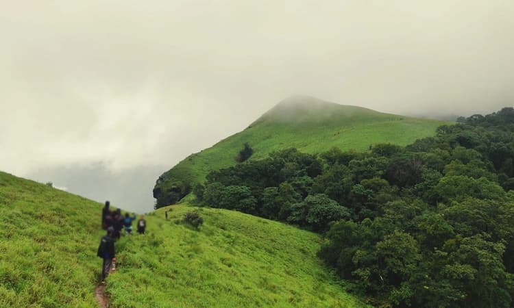 ಬಂಡಾಜೆ ಫಾಲ್ಸ್‌ ಕಡೆ ಟ್ರೆಕ್ಕಿಂಗ್‌ಗೆ ಬಂದು ದಾರಿ ತಪ್ಪಿದ ಯುವಕ: ಪೊಲೀಸರಿಂದ ಹುಡುಕಾಟ