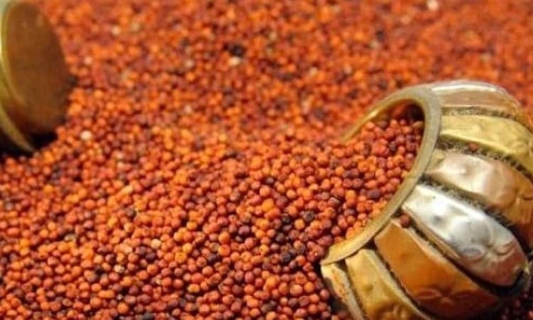 ಜಿಲ್ಲಾದ್ಯಂತ 8,742 ರೈತರಿಂದ ರಾಗಿ ಮಾರಾಟ