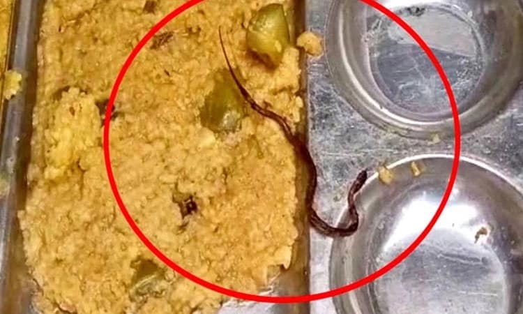 Bihar: ಶಾಲಾ ಮಕ್ಕಳಿಗೆ ಕೊಟ್ಟ ʼಖಿಚಡಿʼಯಲ್ಲಿ ಹಾವು ಪತ್ತೆ; ವಿದ್ಯಾರ್ಥಿಗಳು ಅಸ್ವಸ್ಥ   