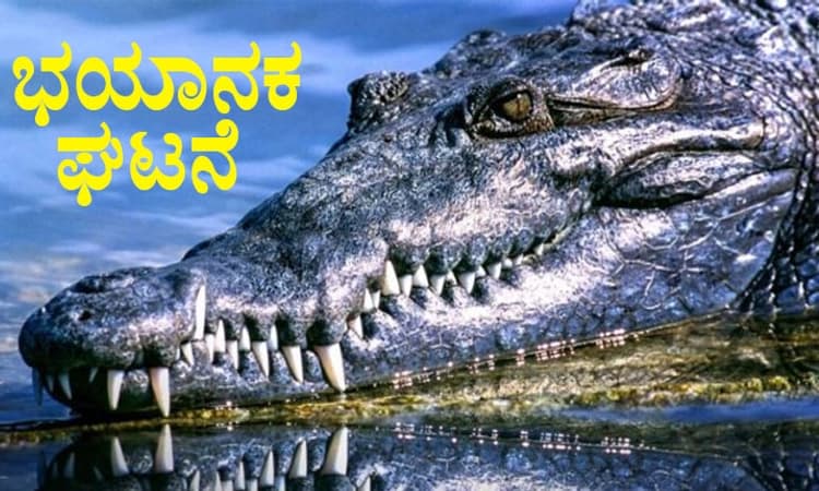 ವೃದ್ಧನನ್ನು ತಿಂದುಹಾಕಿದ 40 ಮೊಸಳೆಗಳು!