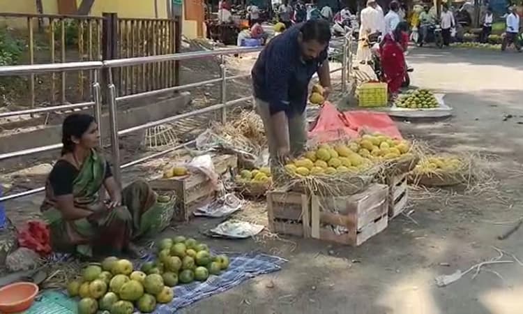 Dandeli: ಎಲ್ಲಿ ನೋಡಿದರೂ ಮಾವಿನ ಹಣ್ಣುಗಳ ಮಾರಾಟ ಬಲು ಜೋರು