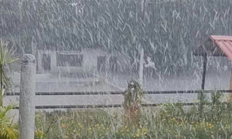 Chikmagalur: ಆಲಿಕಲ್ಲು, ಗುಡುಗು ಸಹಿತ ಧಾರಕಾರ ಮಳೆ; ಹಲವು ಮನೆಗಳಿಗೆ ಹಾನಿ