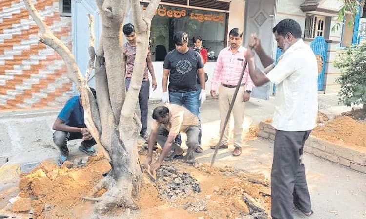 ಮರಗಳಿಗೀಗ ವಾಸ್ತು ದೋಷದ ಭಯ
