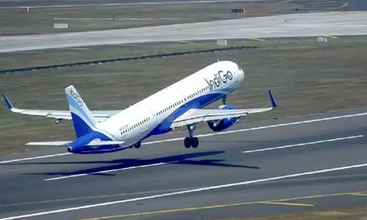 Mangaluru Airport: ಟೇಕಾಫ್ ಗೆ ಸಿದ್ದವಾಗಿದ್ದ ವಿಮಾನಕ್ಕೆ ಢಿಕ್ಕಿ ಹೊಡೆದ ಹಕ್ಕಿ