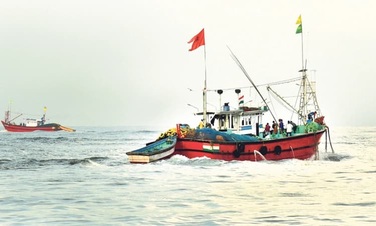 ಮೀನುಗಾರಿಕೆ ಋತು ಪೂರ್ಣಕ್ಕೆ 7 ದಿನ ಬಾಕಿ: ಕರಾವಳಿಯಲ್ಲಿ 6,809 ಕೋ.ರೂ. ಮೀನು ವಹಿವಾಟು