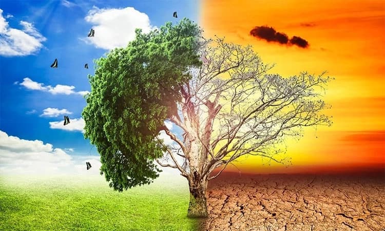 Climate change: ಭಾರತ ಸೇರಿ ಏಷ್ಯಾದ 16 ರಾಷ್ಟ್ರಗಳಿಗೆ ಸಂಕಷ್ಟ