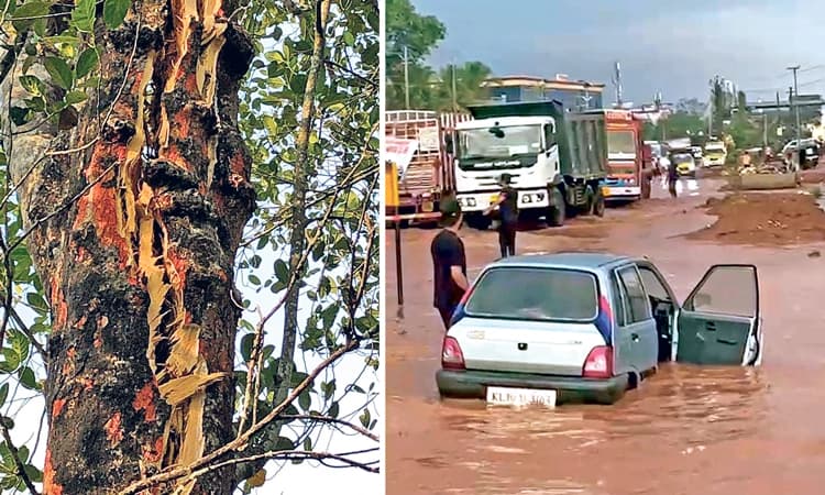 ಕರಾವಳಿ, ಕೊಡಗಿನ ಕೆಲವೆಡೆ ಮಳೆ-ಹಾನಿ: ಇಂದು ಎಲ್ಲೋ ಅಲರ್ಟ್‌