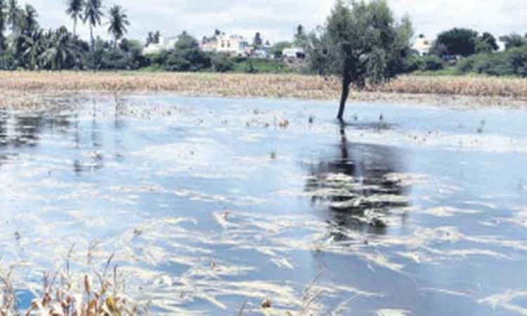 ಗದಗ: ಮತ್ತೆ ಆವರಿಸುತ್ತಾ ಅತಿವೃಷ್ಟಿಯ ಕಾರ್ಮೋಡ?