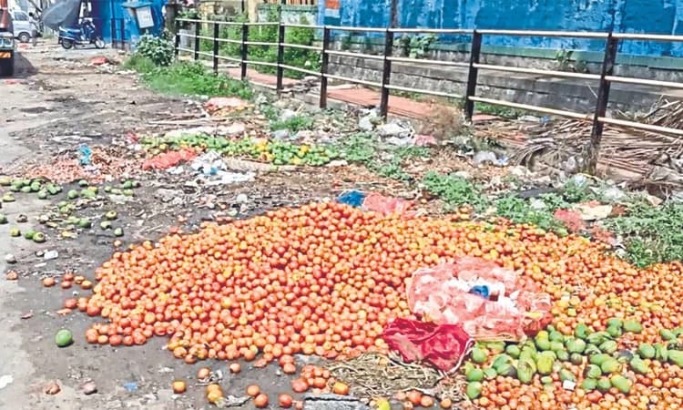 ಬೆಲೆ ಕುಸಿತದಿಂದ ಟೊಮೆಟೋ ಬೆಳೆಗಾರ ಕಂಗಾಲು