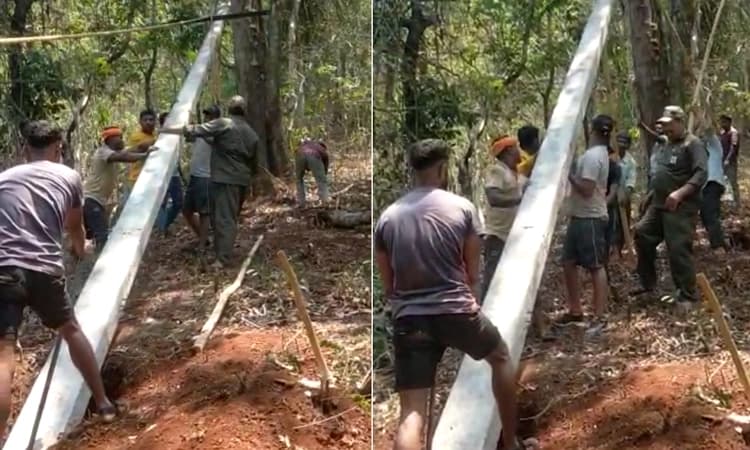 ಜೋಯಿಡಾ: ತಾಲೂಕಿನ ಹಲವೆಡೆ ವಿದ್ಯುತ್ ಮಾರ್ಗಗಳ ತುರ್ತು ನಿರ್ವಹಣೆ