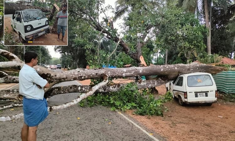 ಶೃಂಗೇರಿಯಲ್ಲಿ ಮಳೆ-ಗಾಳಿ ಅಬ್ಬರ: ಕಾರಿನ ಮೇಲೆ ಬಿದ್ದ ಬೃಹತ್ ಗಾತ್ರದ ಮರ, ತಪ್ಪಿದ ಅನಾಹುತ