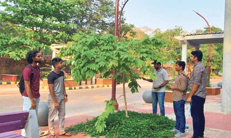 ನಗರದಲ್ಲಿ ನಡೆಯುತ್ತಿದೆ “ಮರ ಗಣತಿ’ ! ಮರಗಳ ಲೆಕ್ಕಾಚಾರ ನಡೆಸುತ್ತಿದೆ ಸಂಶೋಧನ ತಂಡ