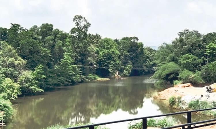 Sullia: ಕುಡಿಯುವ ನೀರಿನ ಸಮಸ್ಯೆ ದೂರ: ಪಯಸ್ವಿನಿಯಲ್ಲಿ ನೀರಿನ ಹರಿವು ಹೆಚ್ಚಳ