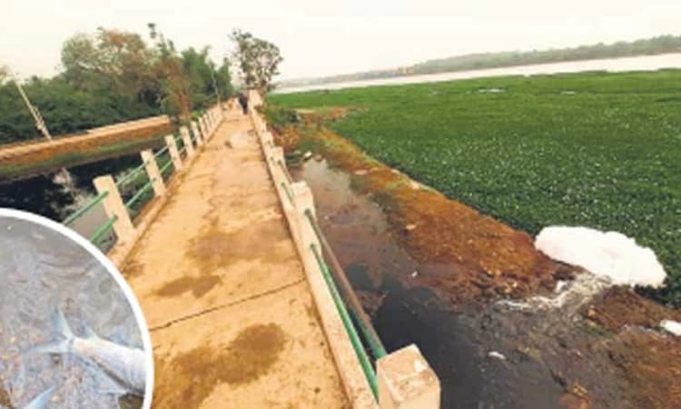 ಧಾರವಾಡ: ಜೀವಕಳೆ ಕಳೆದುಕೊಳ್ಳುತ್ತಿದೆ ಕೆಲಗೇರಿ ಕೆರೆ