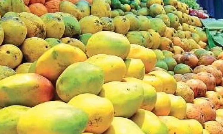 ಮಾವು ಮೇಳ ನಡೆಯುವುದು ಅನುಮಾನ