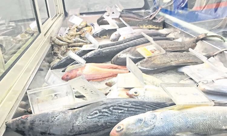 ಬೇಸಿಗೆ ತಾಪಮಾನಕ್ಕೆ ಮತ್ಸ್ಯೋದ್ಯಮ ತತ್ತರ