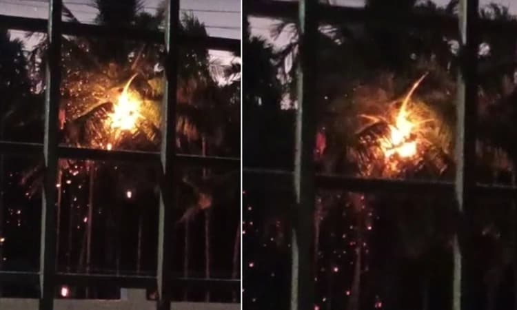 ಚನ್ನಗಿರಿ: ಸಿಡಿಲಿನ ಹೊಡೆತಕ್ಕೆ ಸುಟ್ಟು ಕರಕಲಾದ ತೆಂಗಿನ ಮರ