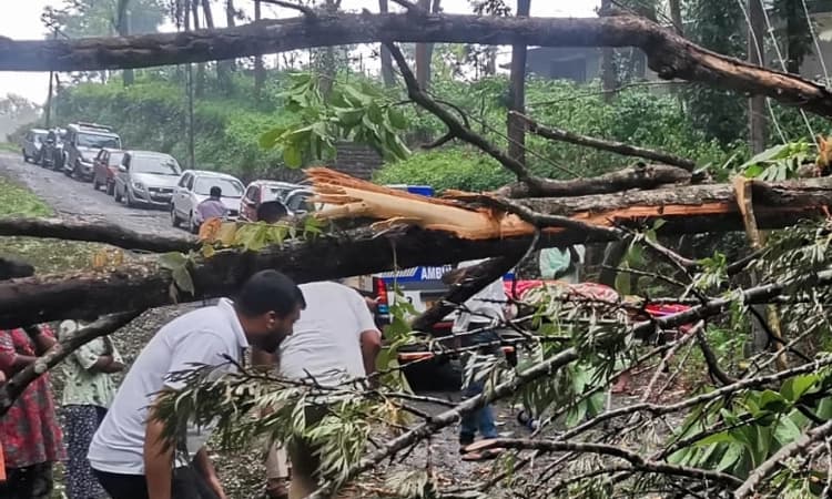 ಚಿಕ್ಕಮಗಳೂರು: ಮಲೆನಾಡಲ್ಲಿ ಧಾರಾಕಾರ ಆಲಿಕಲ್ಲು ಮಳೆ, ಧರೆಗುರುಳಿದ ಮರ, ಟ್ರಾಫಿಕ್ ಜಾಮ್