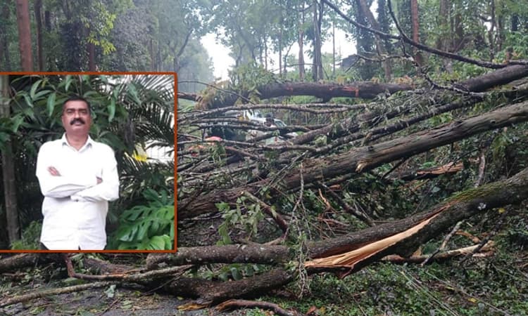 ಚಿಕ್ಕಮಗಳೂರು: ಮಳೆಗೆ ಮೊದಲ ಬಲಿ; ಬೈಕ್ ಮೇಲೆ ಮರ ಬಿದ್ದು ಸವಾರ ಸ್ಥಳದಲ್ಲೇ ಸಾವು