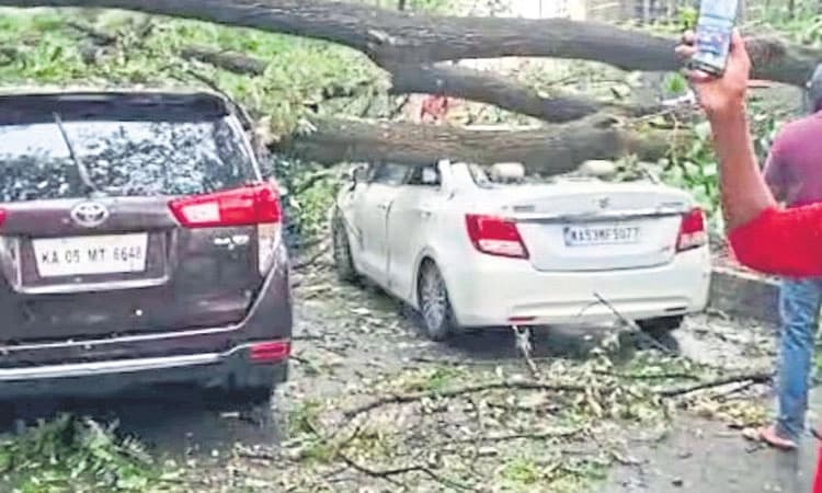 ನಗರದಲ್ಲಿ ಬಿರುಗಾಳಿ ಸಹಿತ ಭಾರಿ ಮಳೆ