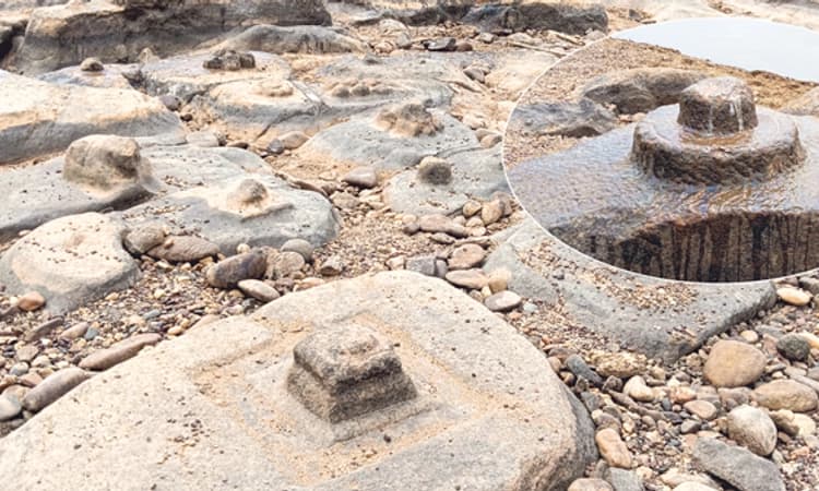 ಬಂಟ್ವಾಳ: ಬತ್ತಿದ ನೇತ್ರಾವತಿಯಲ್ಲಿ ಸೀತಾದೇವಿಯ ಪಾದ ದರ್ಶನ!