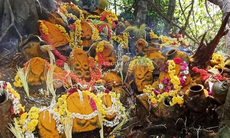 Shirwa: ಕುತ್ಯಾರು ಮೂಲ್ಡೊಟ್ಟು ಪರಿಶಿಷ್ಟ ವರ್ಗದ ನಾಗಬನ