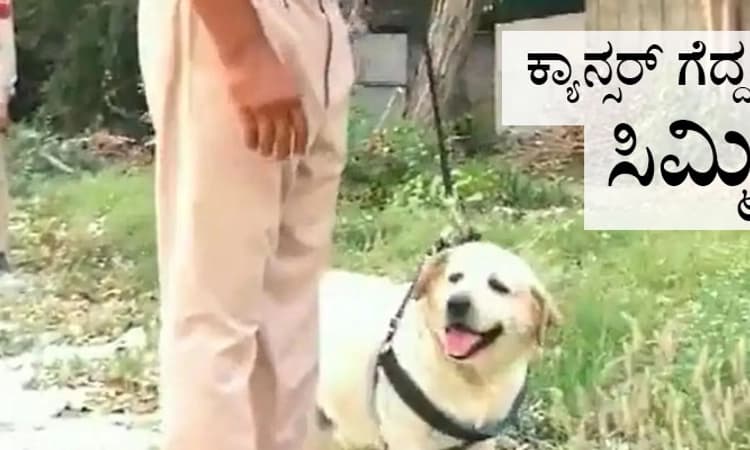 Watch: ಮಹಾಮಾರಿ ಕ್ಯಾನ್ಸರ್‌ ಗೆದ್ದ ಪೊಲೀಸ್‌ ಇಲಾಖೆಯ ಶ್ವಾನ ಮರಳಿ ಕರ್ತವ್ಯಕ್ಕೆ ಹಾಜರ್!
