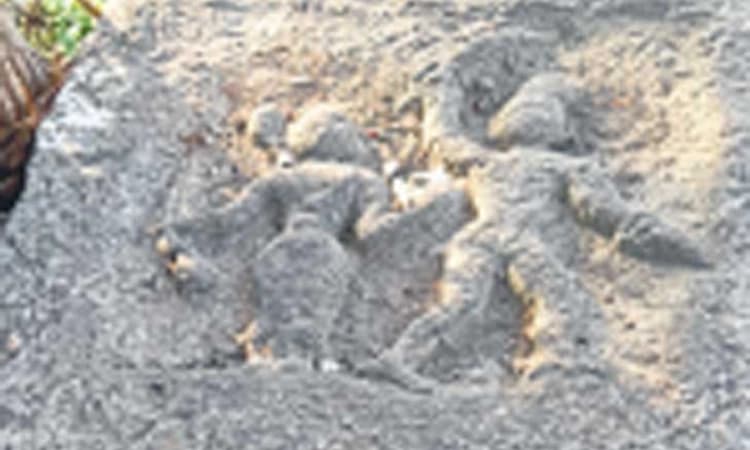 ಕೋಲಾರ; ವಿನಾಶದ ಅಂಚಿಗೆ ಸಾಗುತ್ತಿರುವ ಮಾಸ್ತಿ ಕಲ್ಲು ರಕ್ಷಿಸಿ