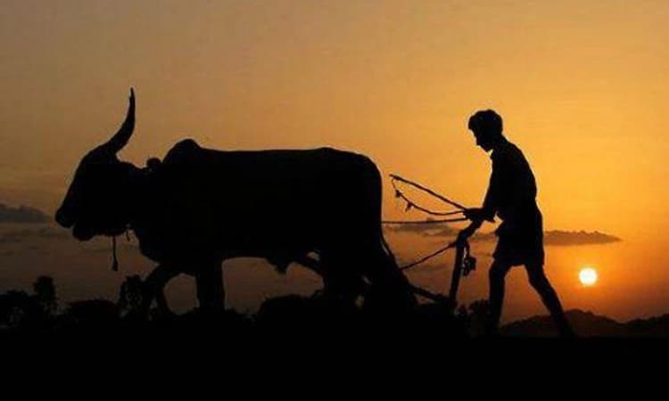 ಕುಮ್ಕಿ ಹಕ್ಕು ಮತ್ತೆ ಗಗನ ಕುಸುಮ? ಕರಾವಳಿಯ ಕೃಷಿಕರ ಬಹುಕಾಲದ ಬೇಡಿಕೆ