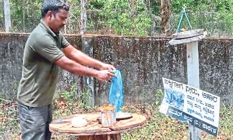 ಮೂರು ವರ್ಷದಿಂದ ಪಕ್ಷಿಗಳಿಗೆ ನೀರು, ಕಾಳಜಿ ಸೇವೆ!