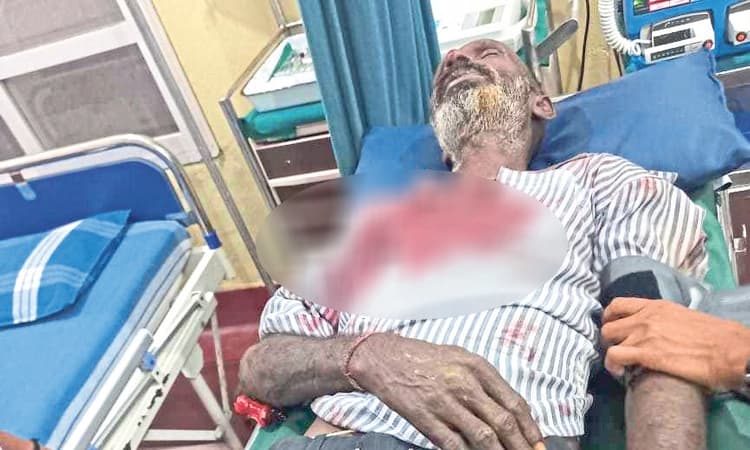 ಪಾಲಿಬೆಟ್ಟದಲ್ಲಿ ಕಾಡಾನೆ ದಾಳಿ: ಕಾರ್ಮಿಕ ಗಂಭೀರ