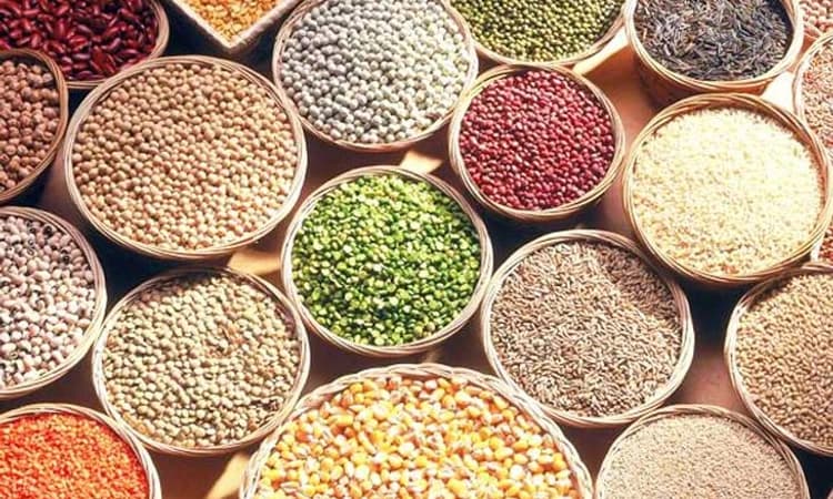 ಹೊನ್ನಾವರ ಸಿರಿಧಾನ್ಯ ಗ್ರಾಮ; ಆರೋಗ್ಯ ವೃದ್ಧಿಗೆ ಯೋಜನೆ