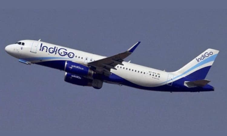 IndiGo ವಿಮಾನದಲ್ಲಿ ಕುಡಿದ ಮತ್ತಿನಲ್ಲಿ ಮಹಿಳೆಯ ಅನುಚಿತ ವರ್ತನೆ