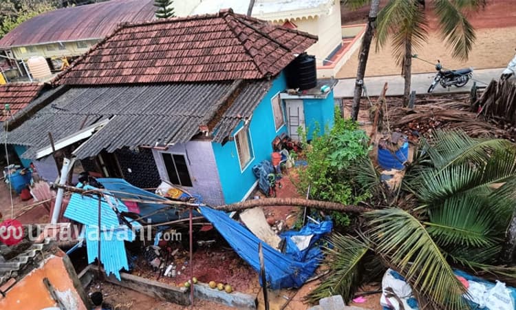 Katapadi: ಭಾರೀ ಮಳೆಗೆ ತೆಂಗಿನ ಮರ ಬಿದ್ದು ಮನೆಗೆ ಹಾನಿ