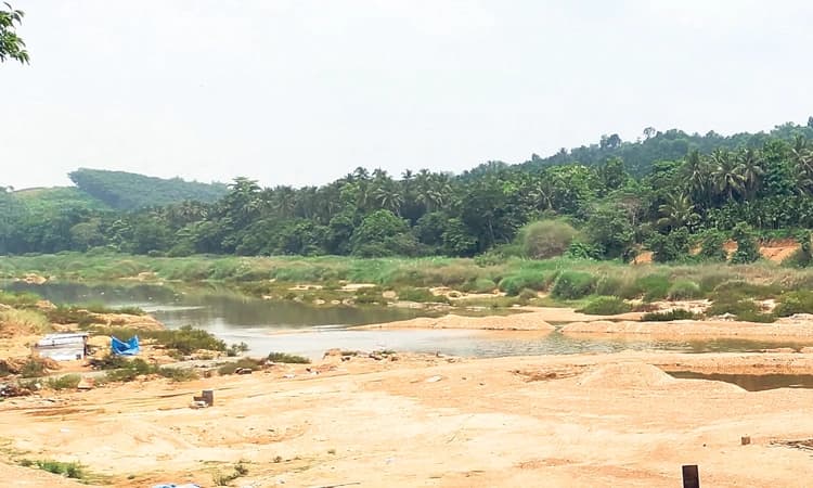 ತಿಂಗಳ ಹಿಂದೆ ಹರಿವು ನಿಲ್ಲಿಸಿದ್ದ ನೇತ್ರಾವತಿ ನದಿಯಲ್ಲಿ ಮತ್ತೆ ಹರಿವು