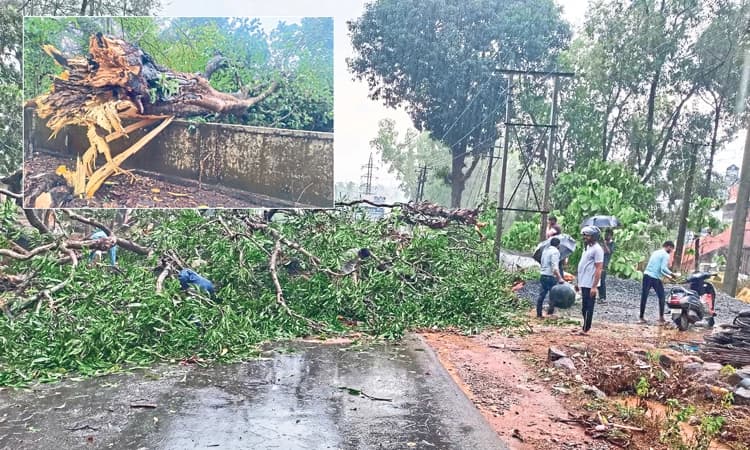 ಬೆಳ್ತಂಗಡಿ ಸುತ್ತಮುತ್ತ ಗುಡುಗು ಸಿಡಿಲು ಸಹಿತ ಭಾರೀ ಮಳೆ