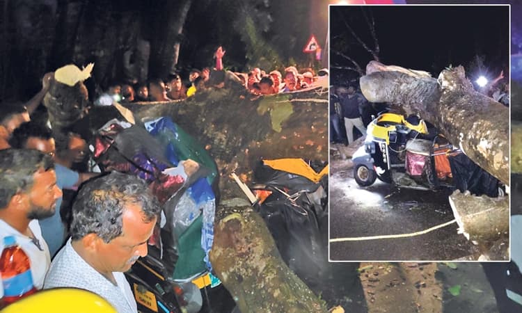 ಮಲ್ಲಾರು: ಸಂಚರಿಸುತ್ತಿದ್ದ ರಿಕ್ಷಾದ ಮೇಲೆ ಮರ ಬಿದ್ದು ಇಬ್ಬರ ಸಾವು